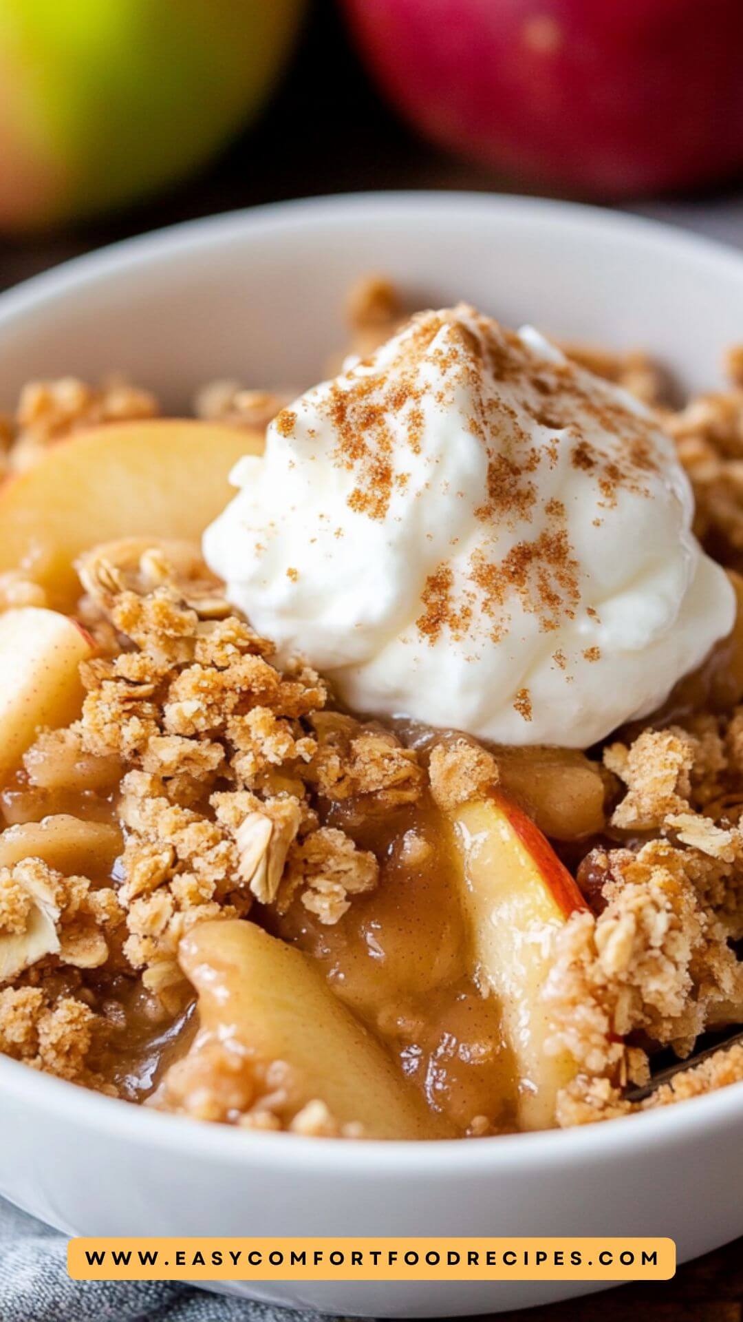 Best Old Fashioned Easy Apple Crisp Recipe2