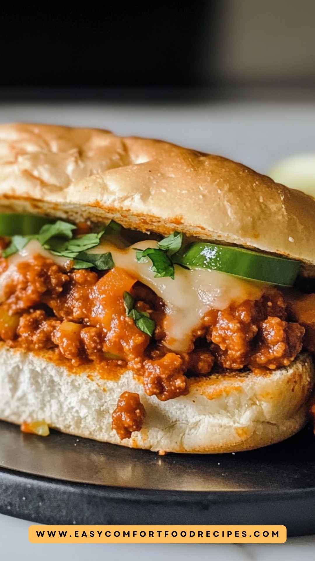 Best Turkey Sloppy Joes