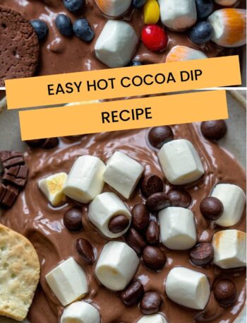 Easy Hot Cocoa Dip Recipe