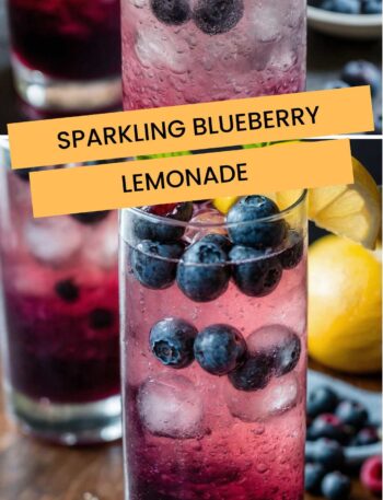 Sparkling Blueberry Lemonade