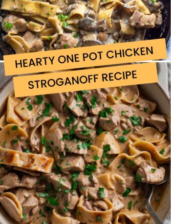 Hearty One Pot Chicken Stroganoff Recipe