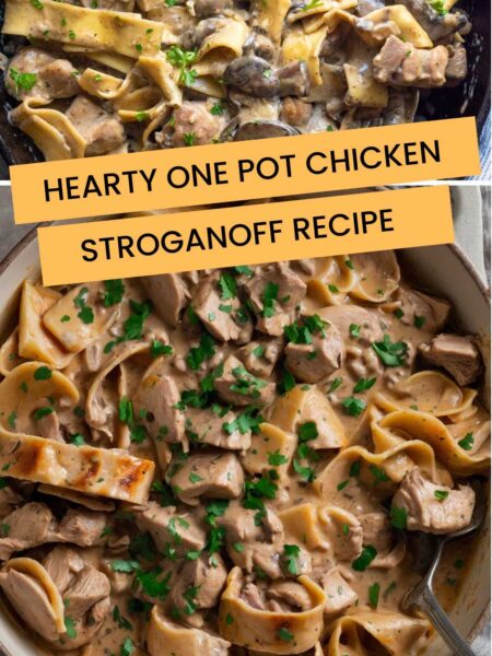 Hearty One Pot Chicken Stroganoff Recipe