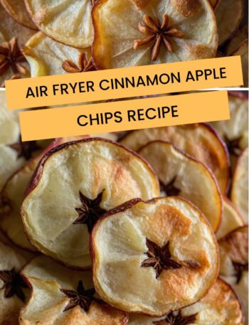Air Fryer Cinnamon Apple Chips Recipe