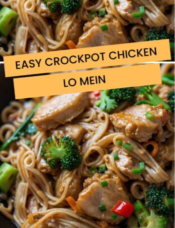 Easy Crockpot Chicken Lo Mein
